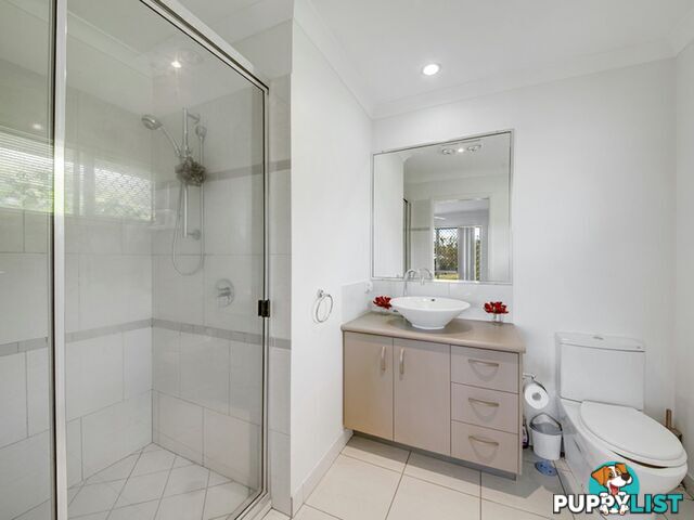 14 Trudy Avenue CALLIOPE QLD 4680