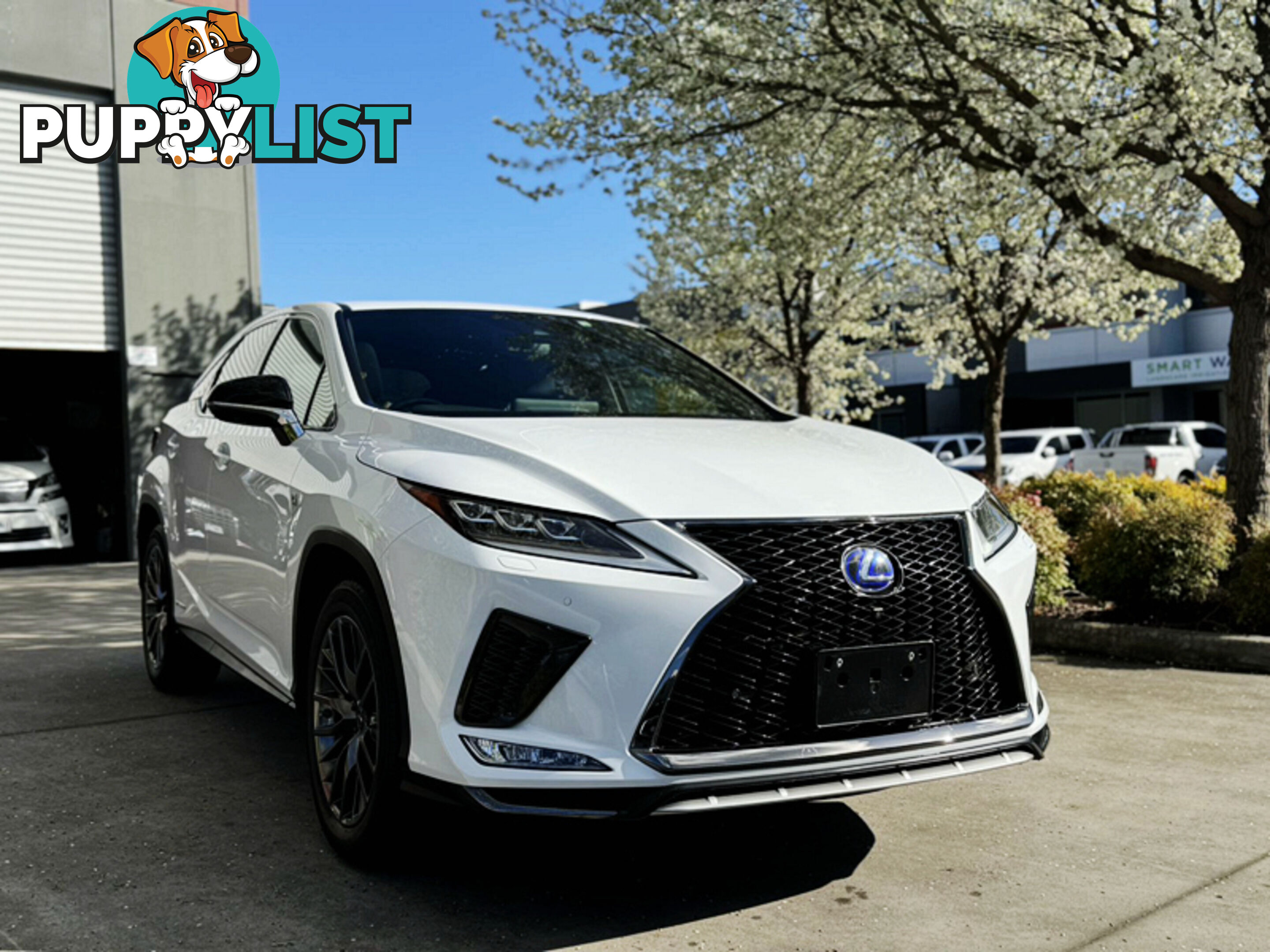 2022 LEXUS RX450H F SPORTS GYL20 SUV