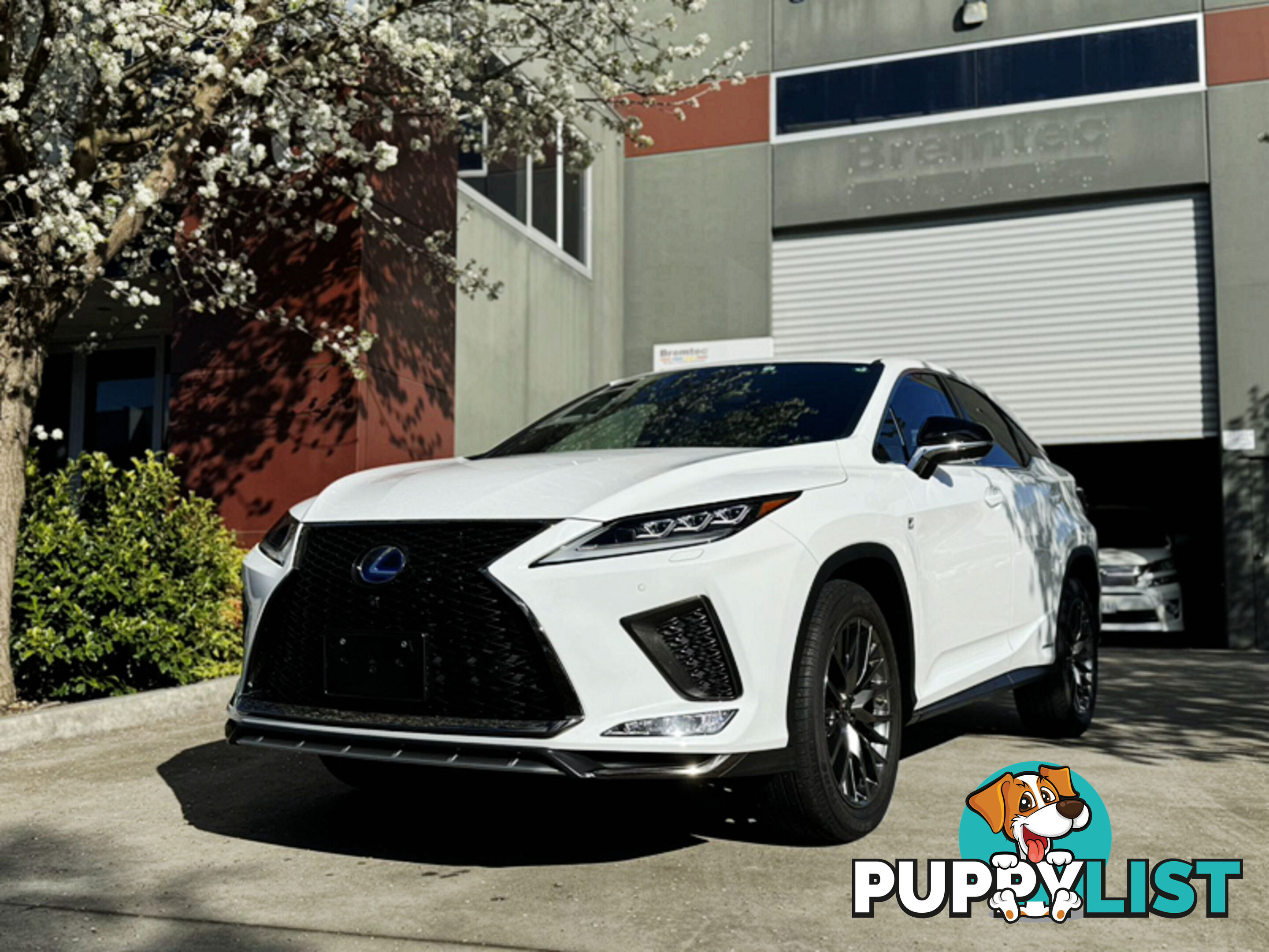 2022 LEXUS RX450H F SPORTS GYL20 SUV