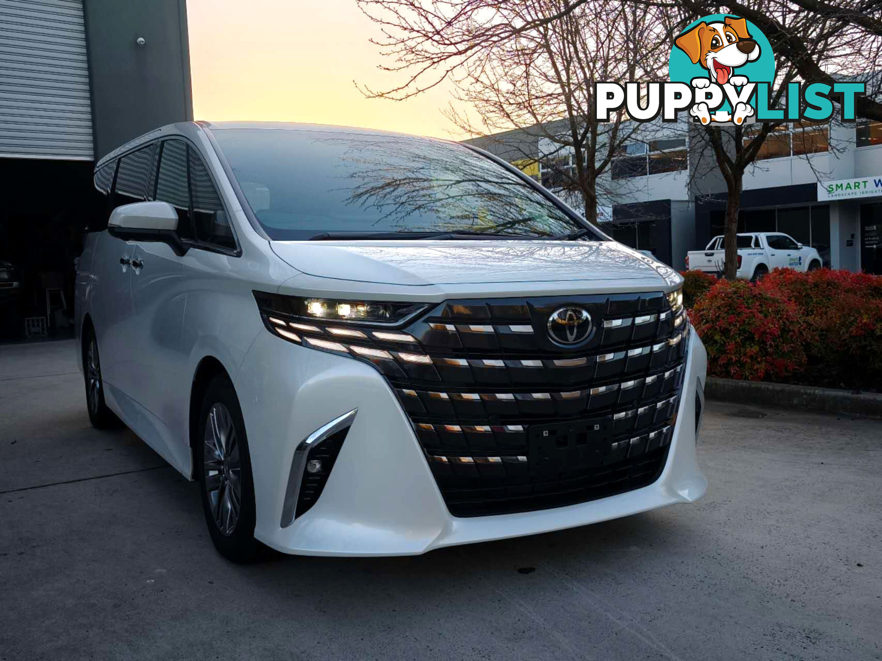 2024 TOYOTA ALPHARD Z AAHH45 WAGON
