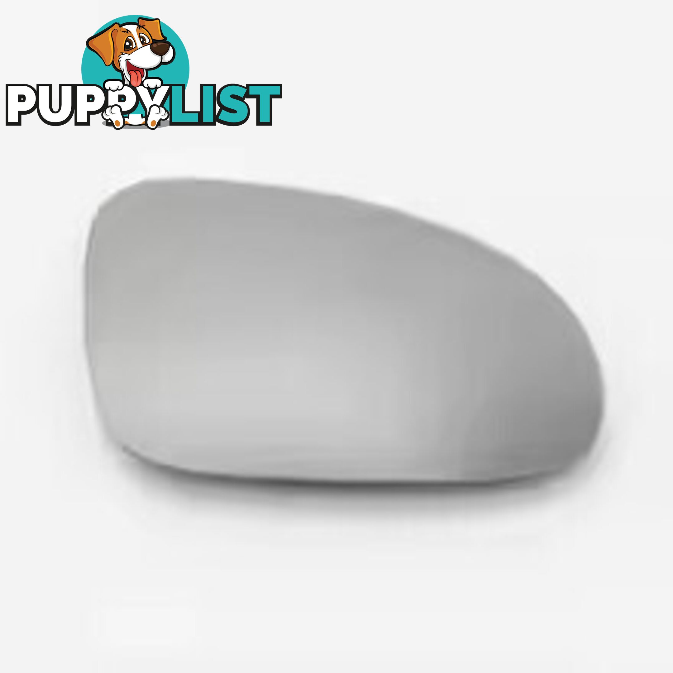 VW Mirrors for Passat, Jetta and Golf 2006-2011