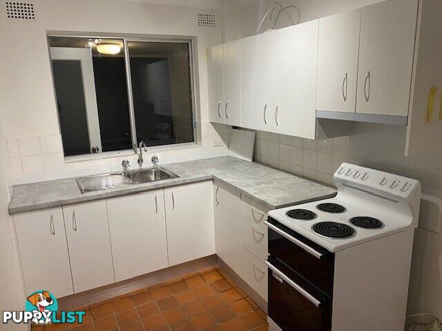 15 92 Alt Street ASHFIELD NSW 2131