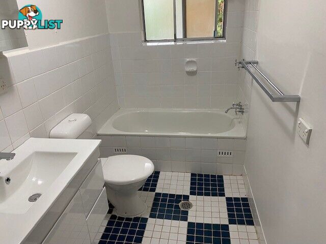 15 92 Alt Street ASHFIELD NSW 2131