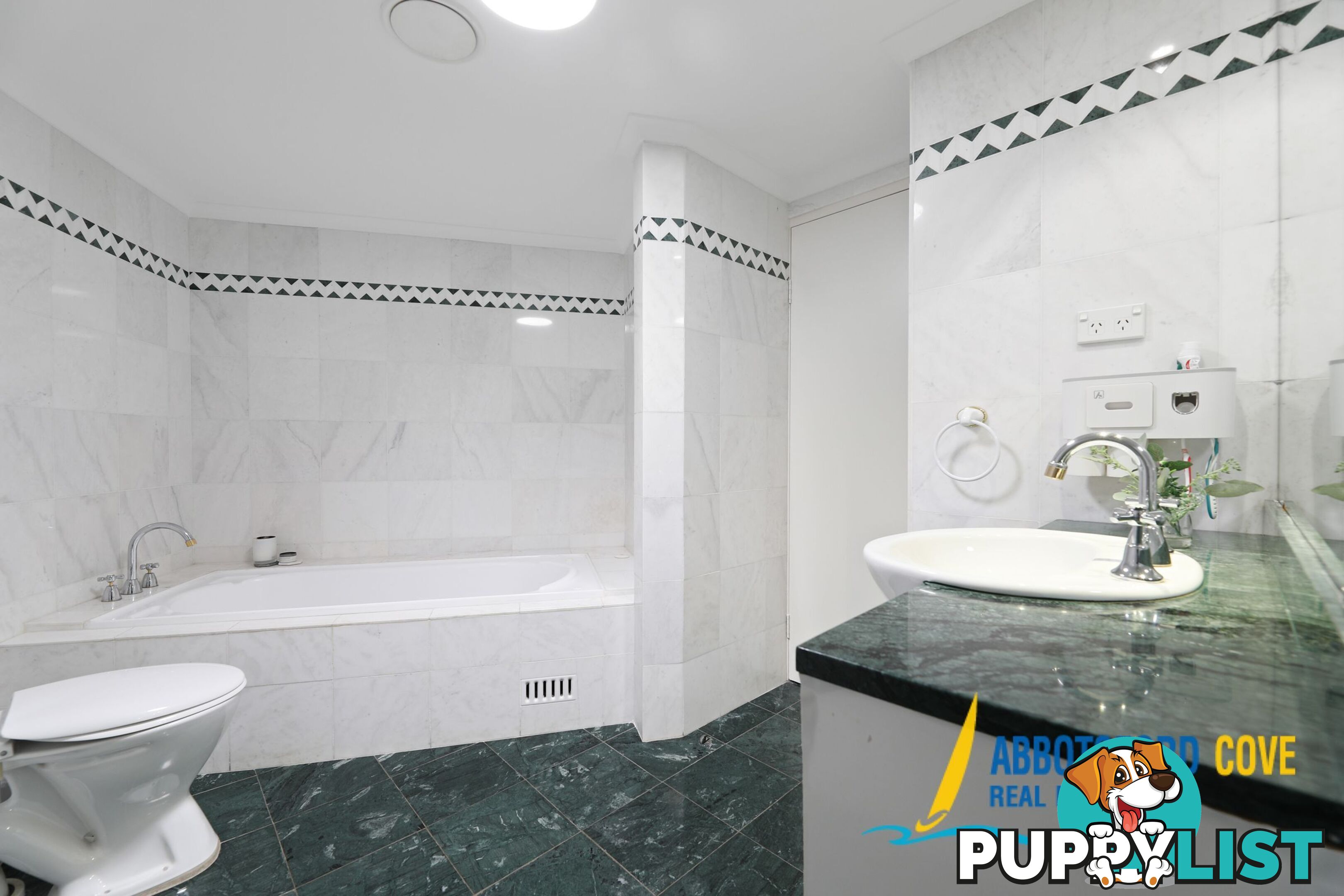 1 3 Harbourview Crescent ABBOTSFORD NSW 2046