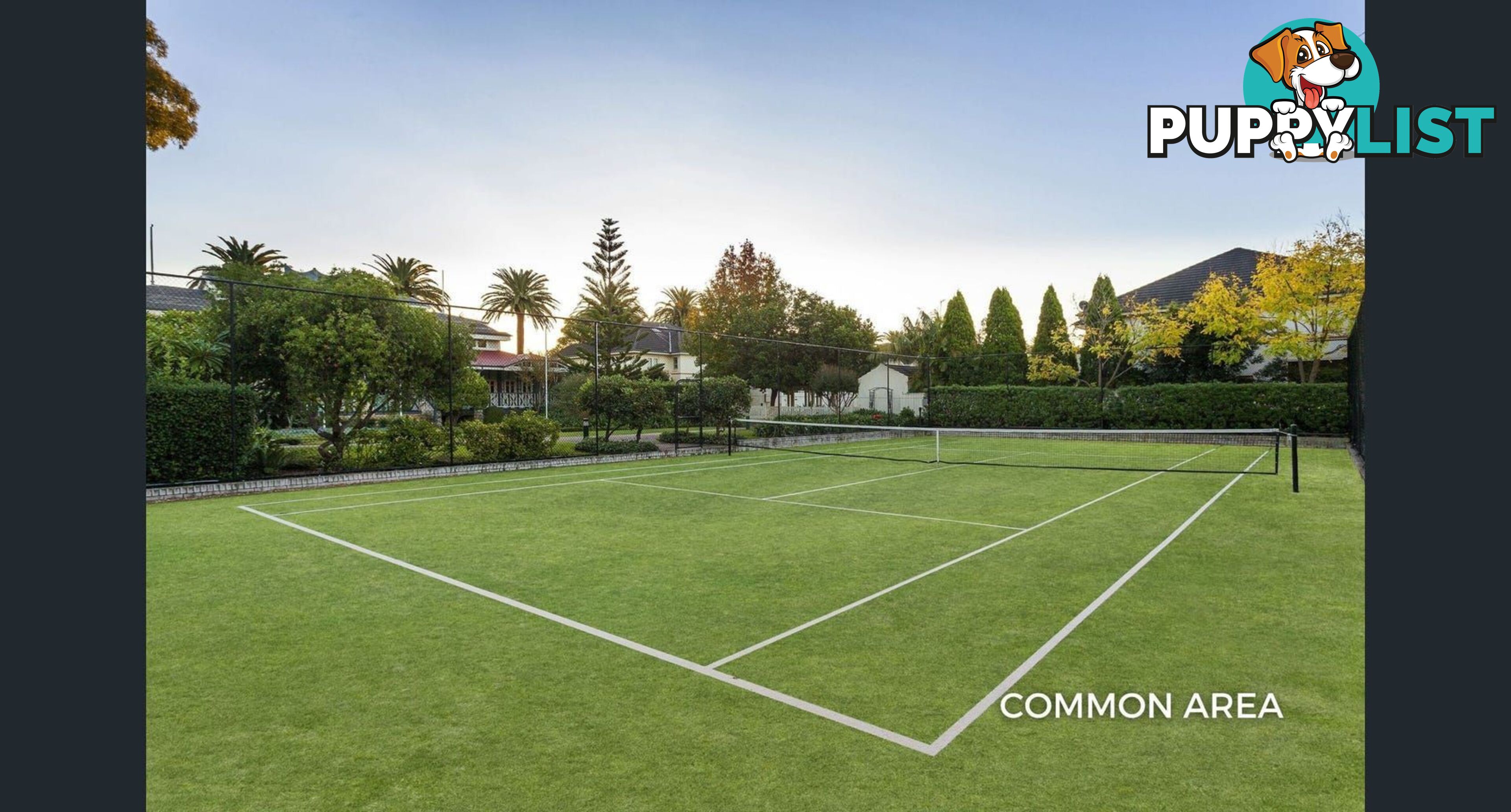 1 3 Harbourview Crescent ABBOTSFORD NSW 2046