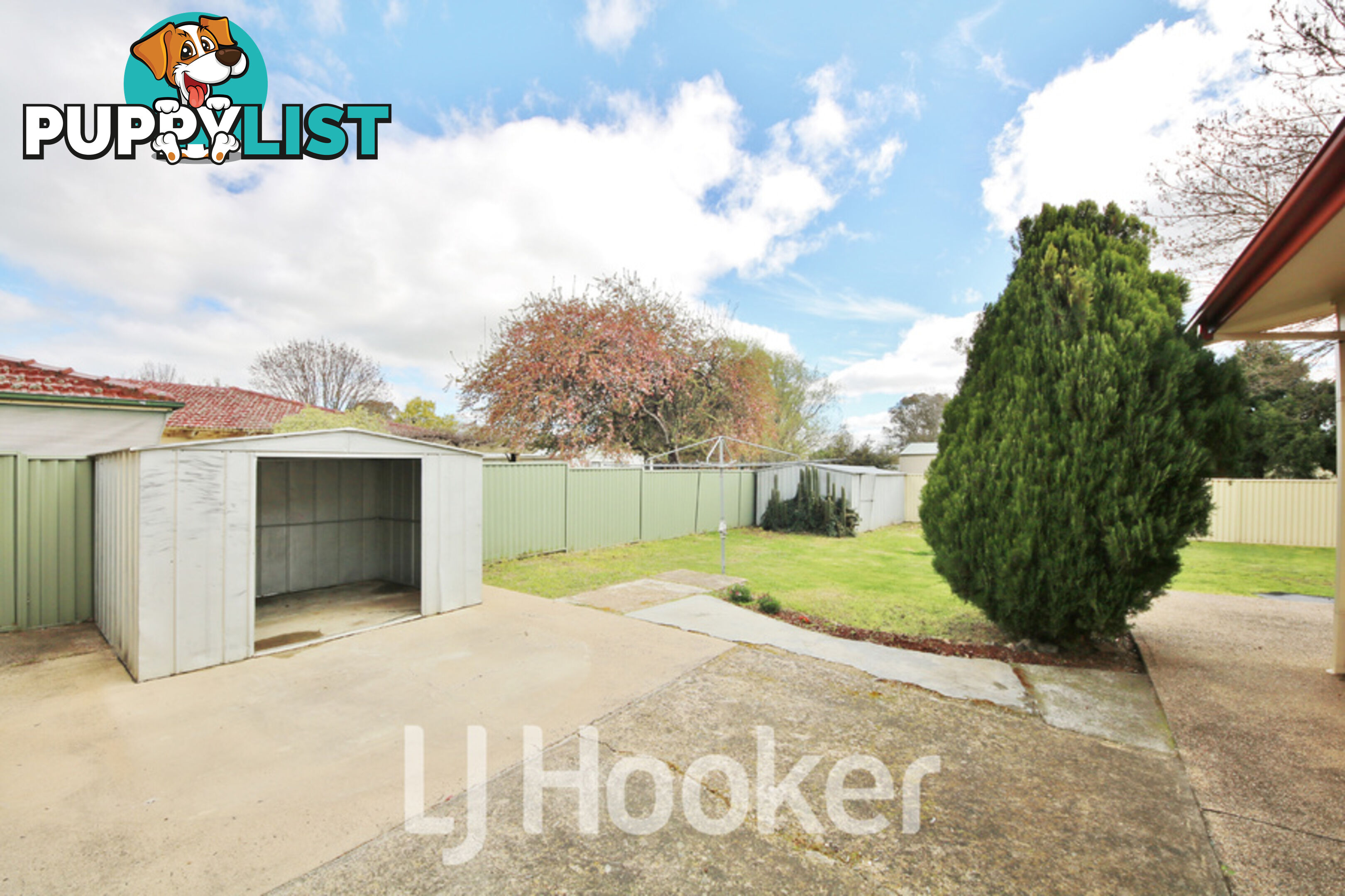 50 Nelson Street RAGLAN NSW 2795