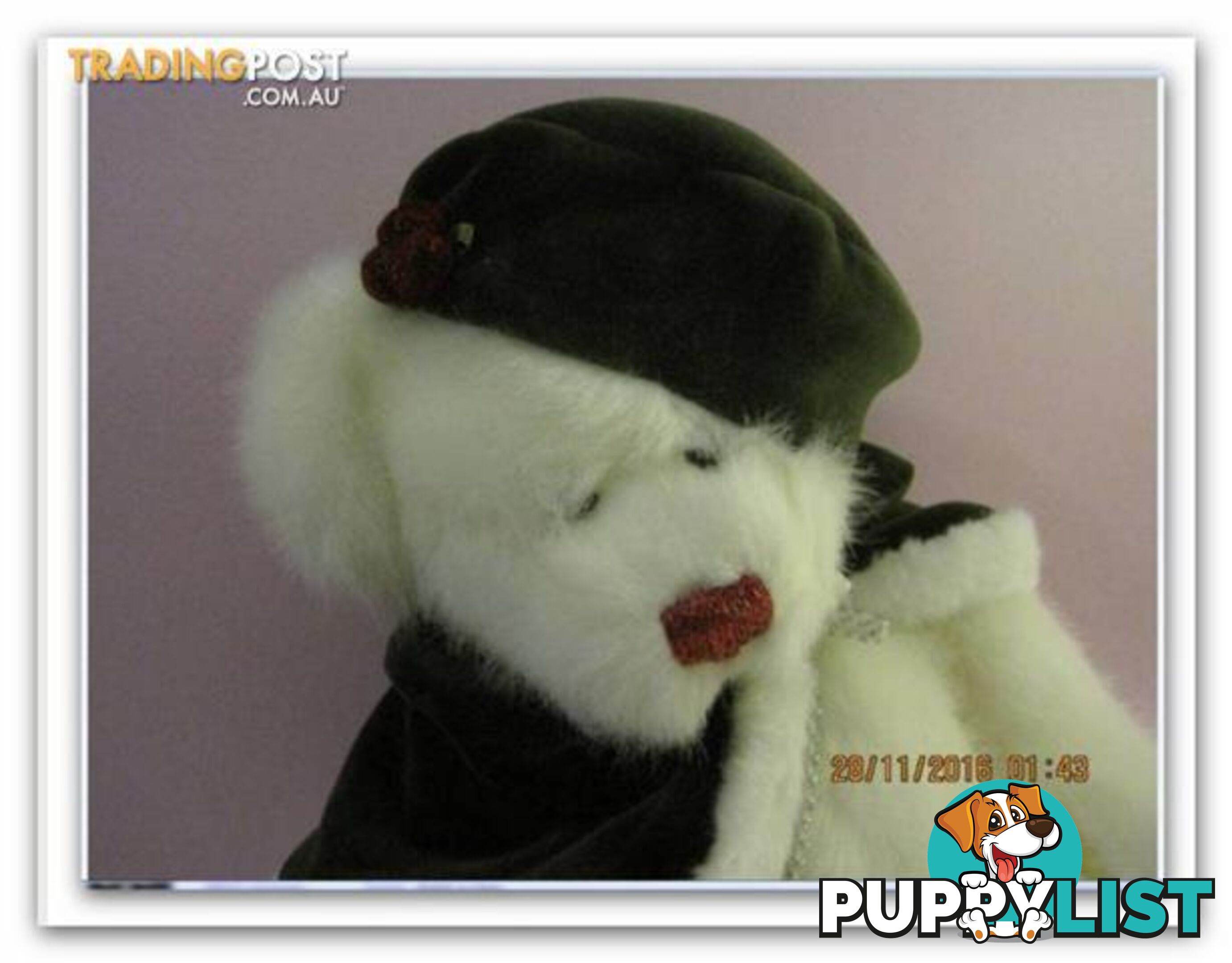 Russ Berrie bears, crystal is new kept in a sealed glass cabinet, white plush bear