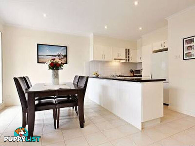 6/1104 whitehorse Road BOX HILL VIC 3128