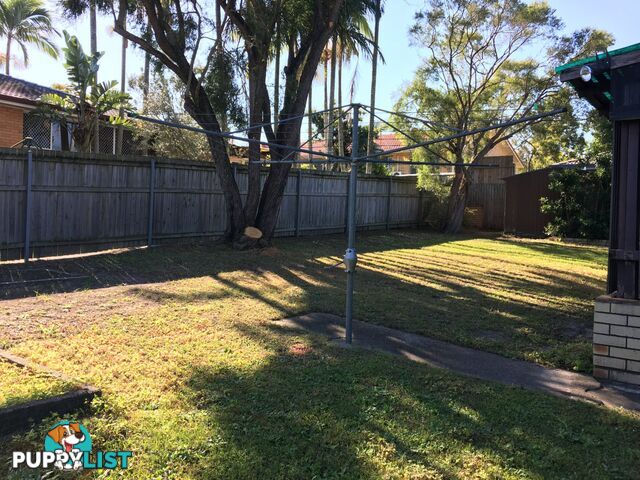 85 Ridgewood Road ALGESTER QLD 4115