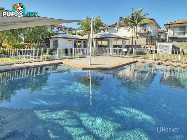 14/11 Penny Street ALGESTER QLD 4115