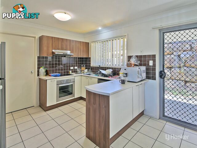 14/11 Penny Street ALGESTER QLD 4115