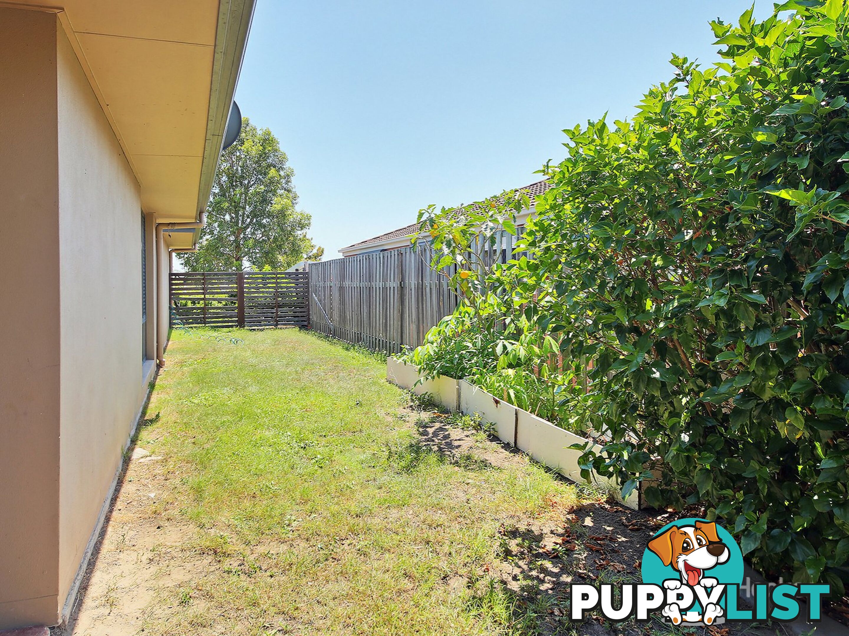 6 Budawang Street PARKINSON QLD 4115