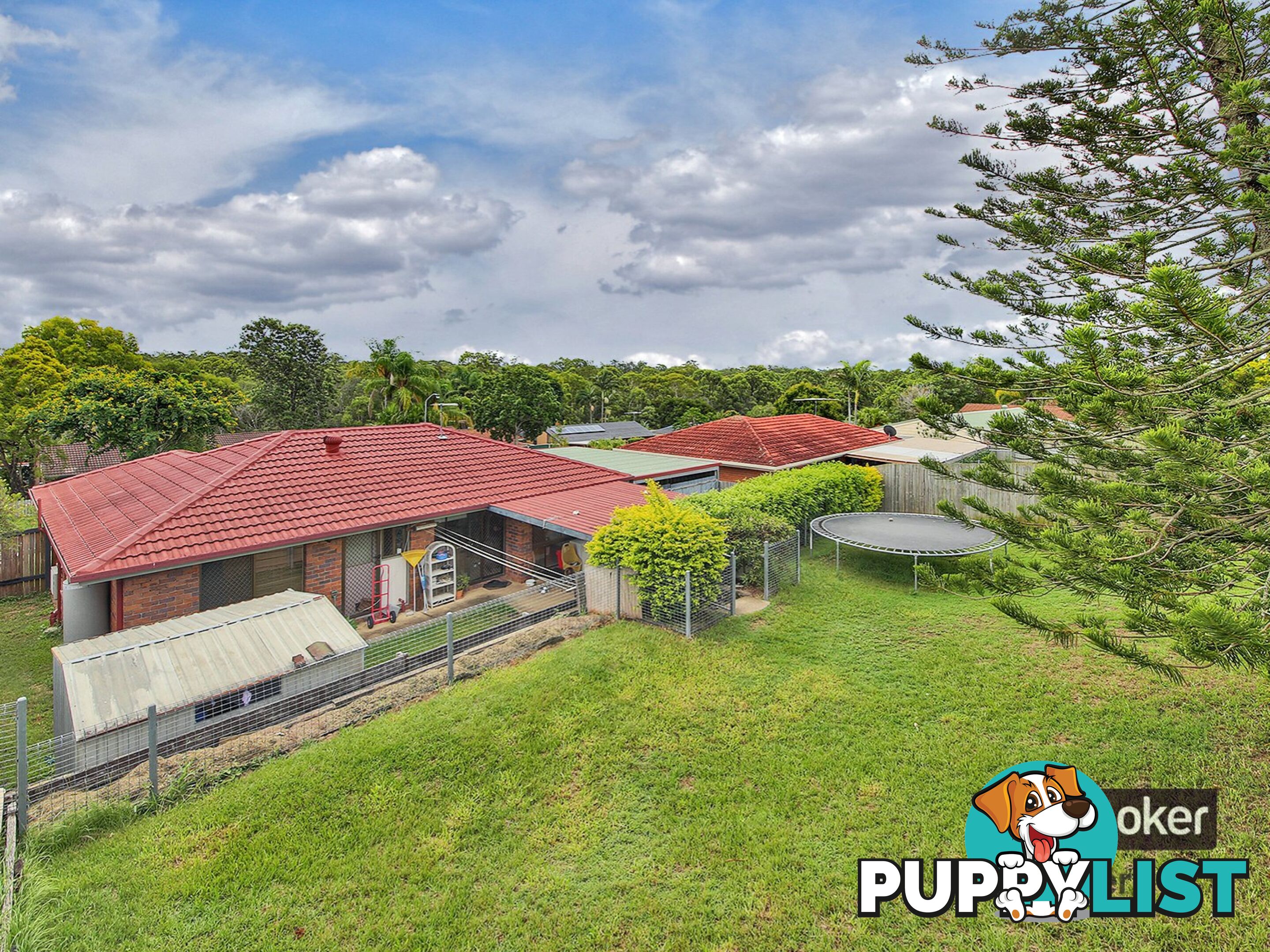 43 Owenia Street ALGESTER QLD 4115