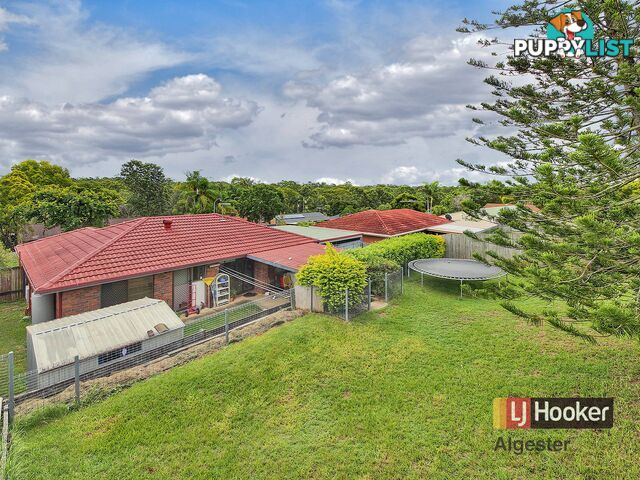 43 Owenia Street ALGESTER QLD 4115