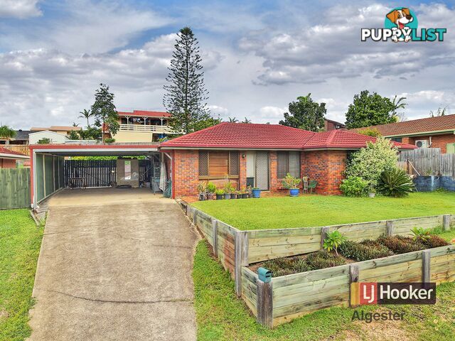 43 Owenia Street ALGESTER QLD 4115