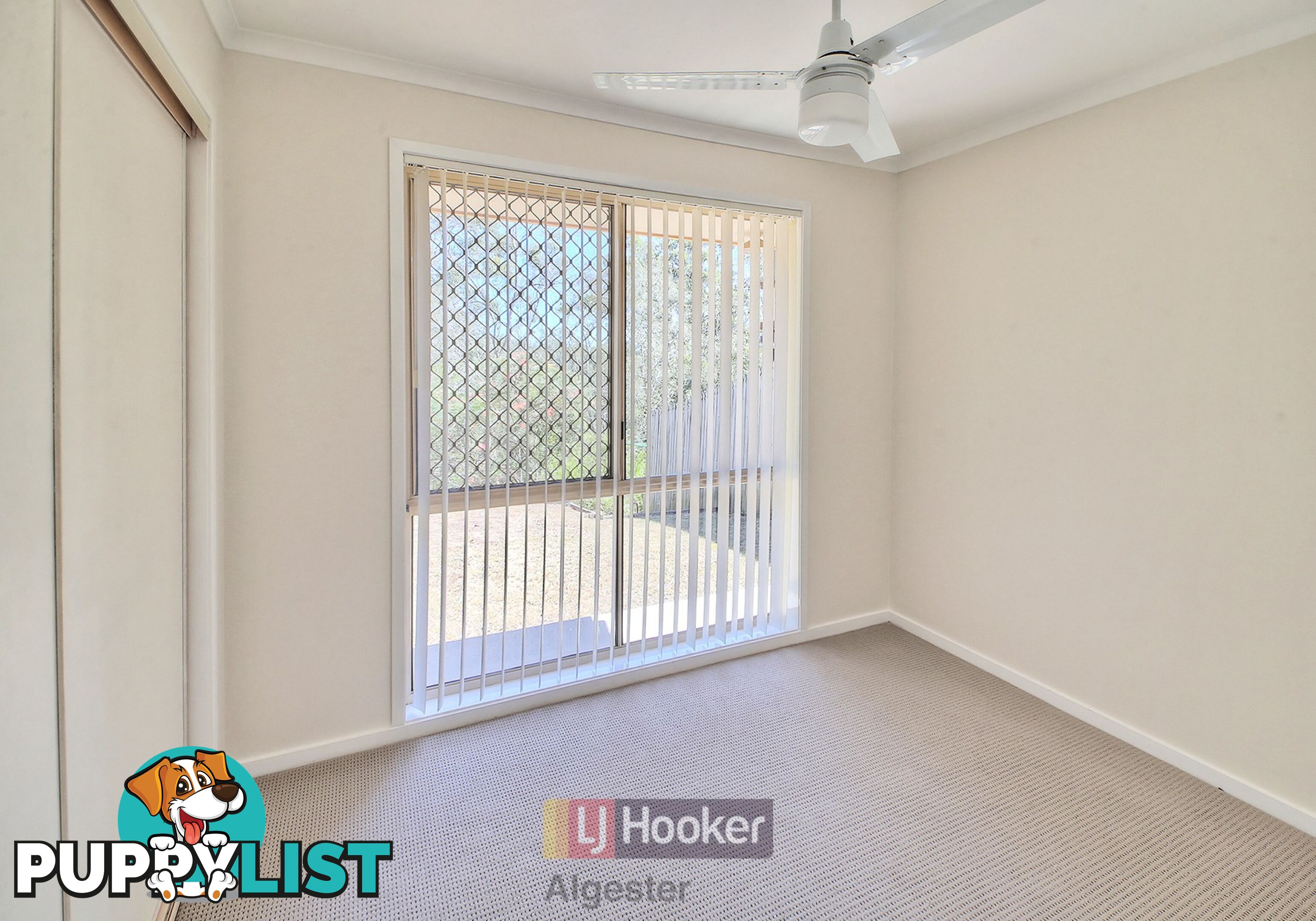 43 Kulcha Street ALGESTER QLD 4115