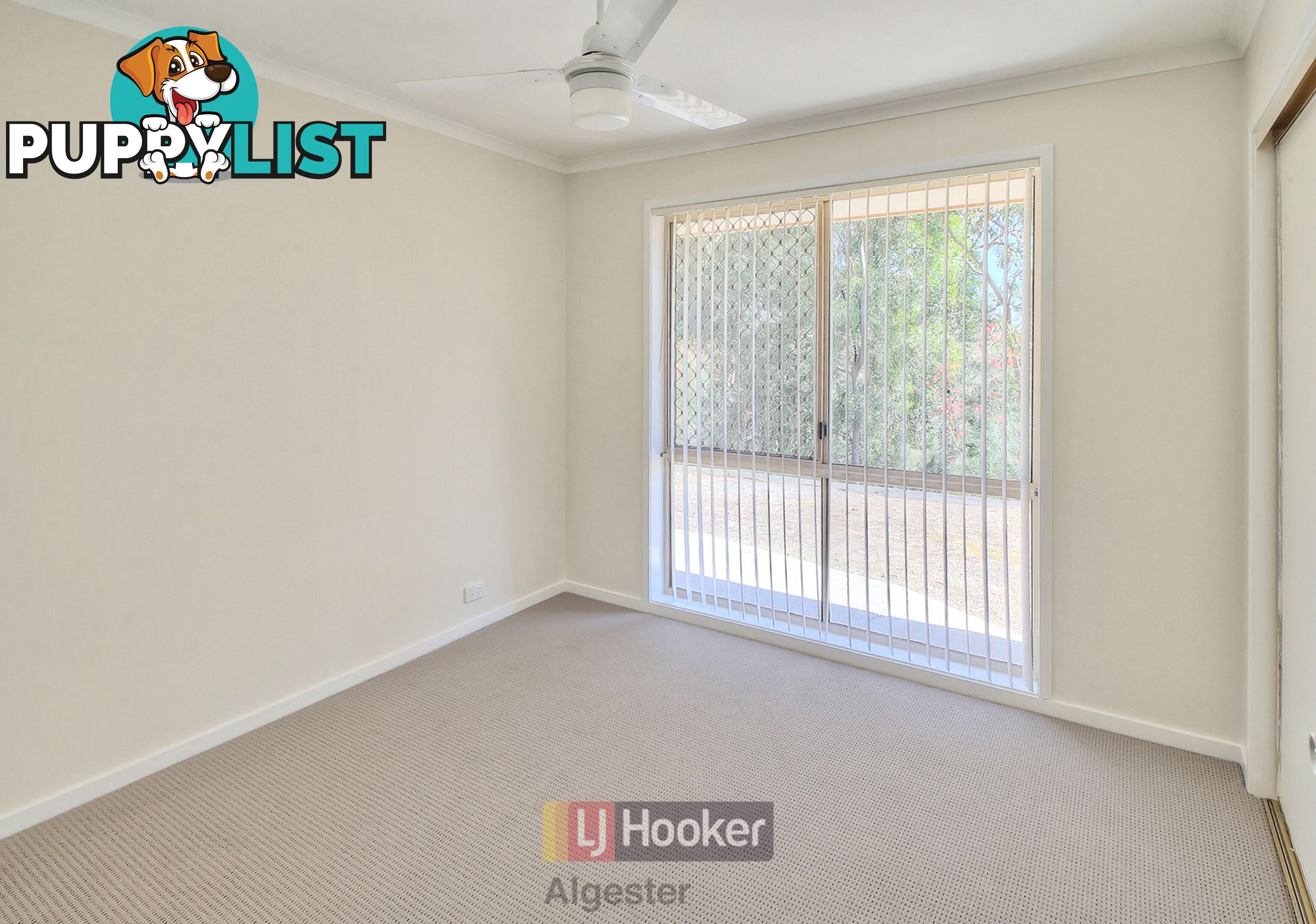 43 Kulcha Street ALGESTER QLD 4115