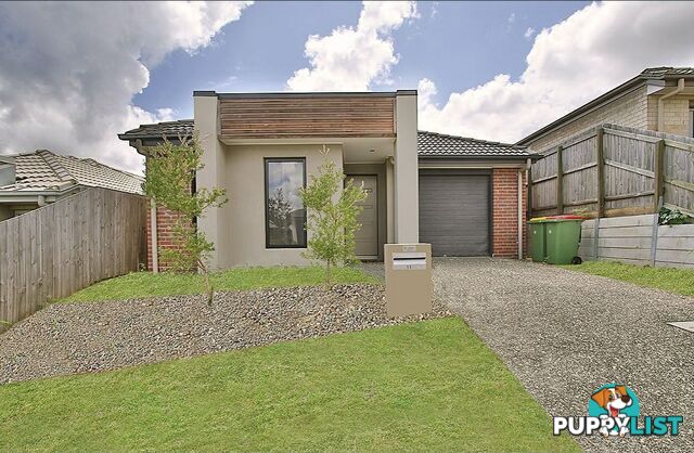 11 Lindwall Court SPRINGFIELD LAKES QLD 4300