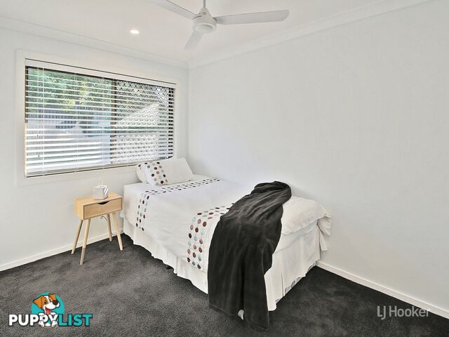 14 Yorrell Street ALGESTER QLD 4115