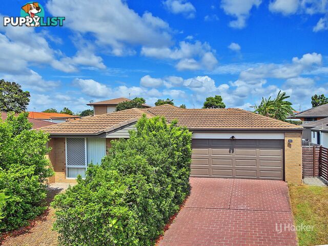 8 Mimosa Street PARKINSON QLD 4115