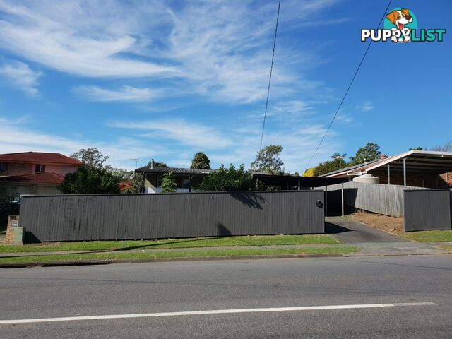 40 Jackson Road SUNNYBANK HILLS QLD 4109