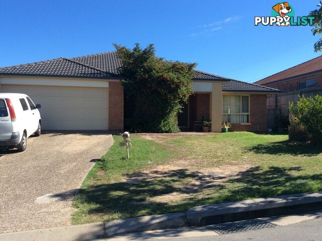 14 Mt Flinders Place ALGESTER QLD 4115