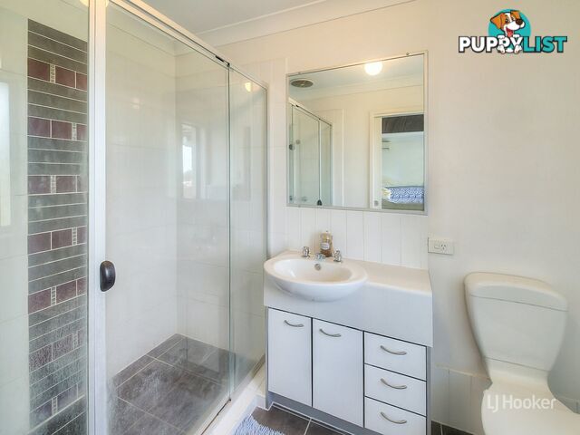 29/11 Penny Street ALGESTER QLD 4115