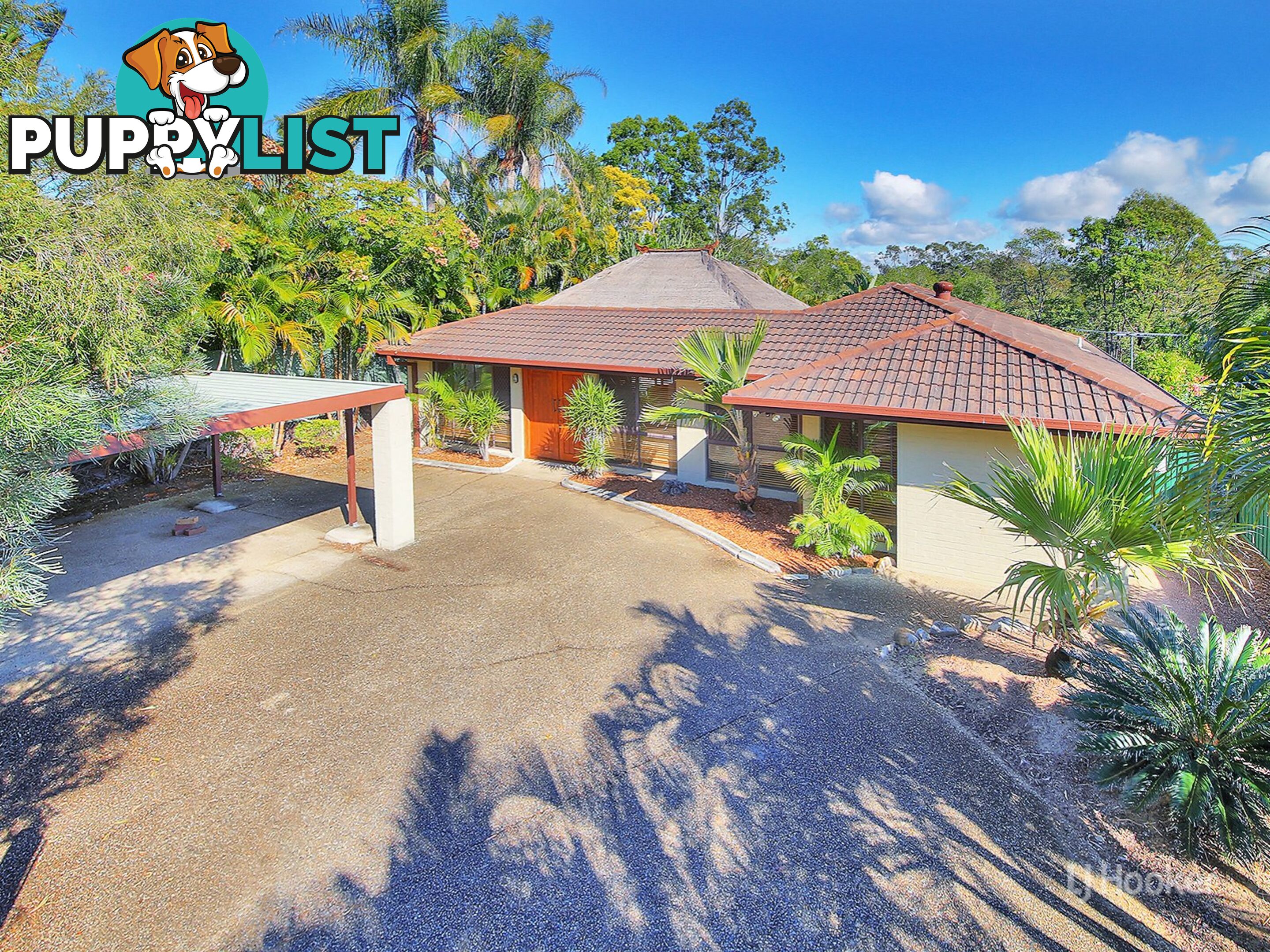 50 Owenia Street ALGESTER QLD 4115