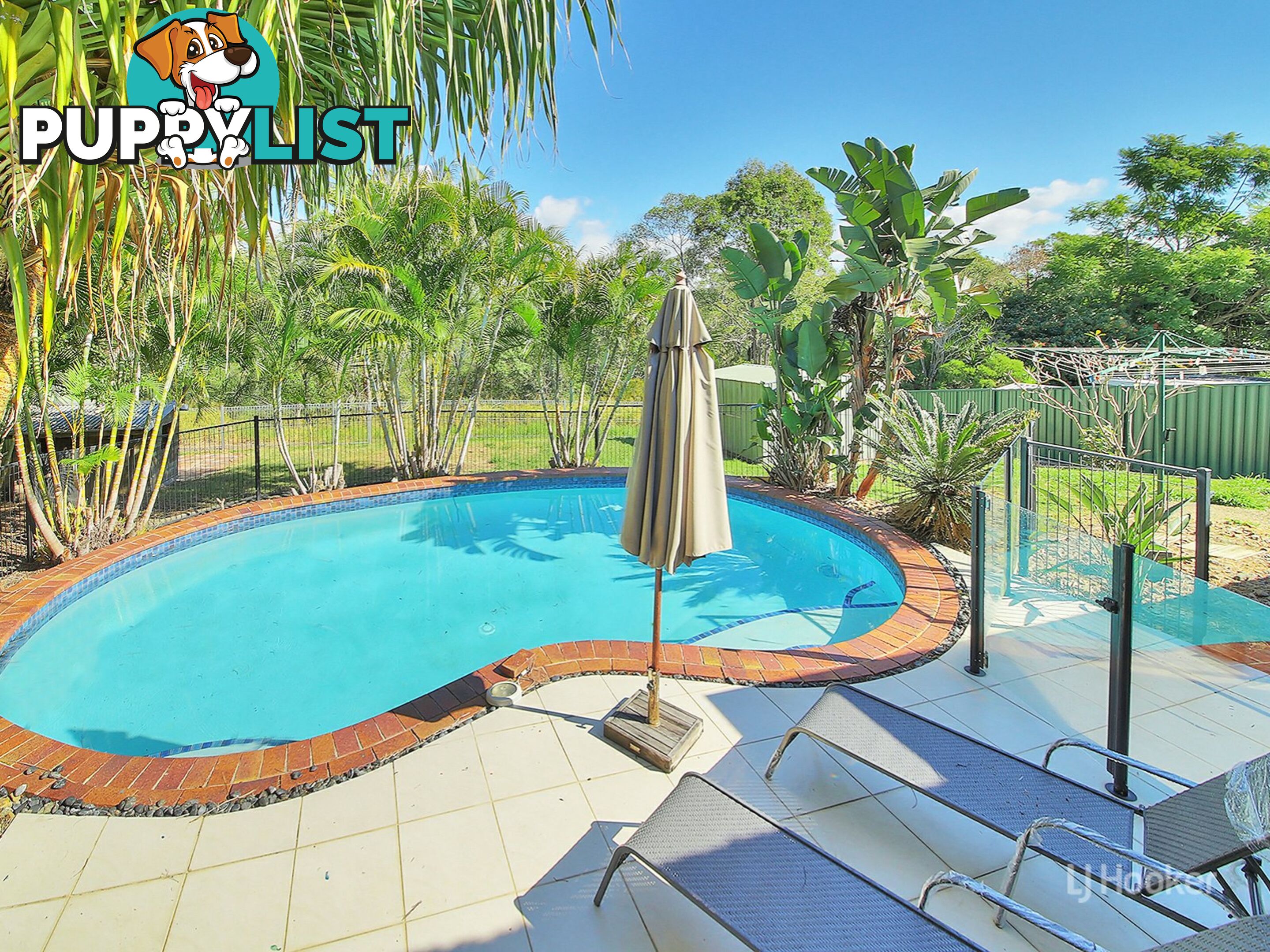 50 Owenia Street ALGESTER QLD 4115