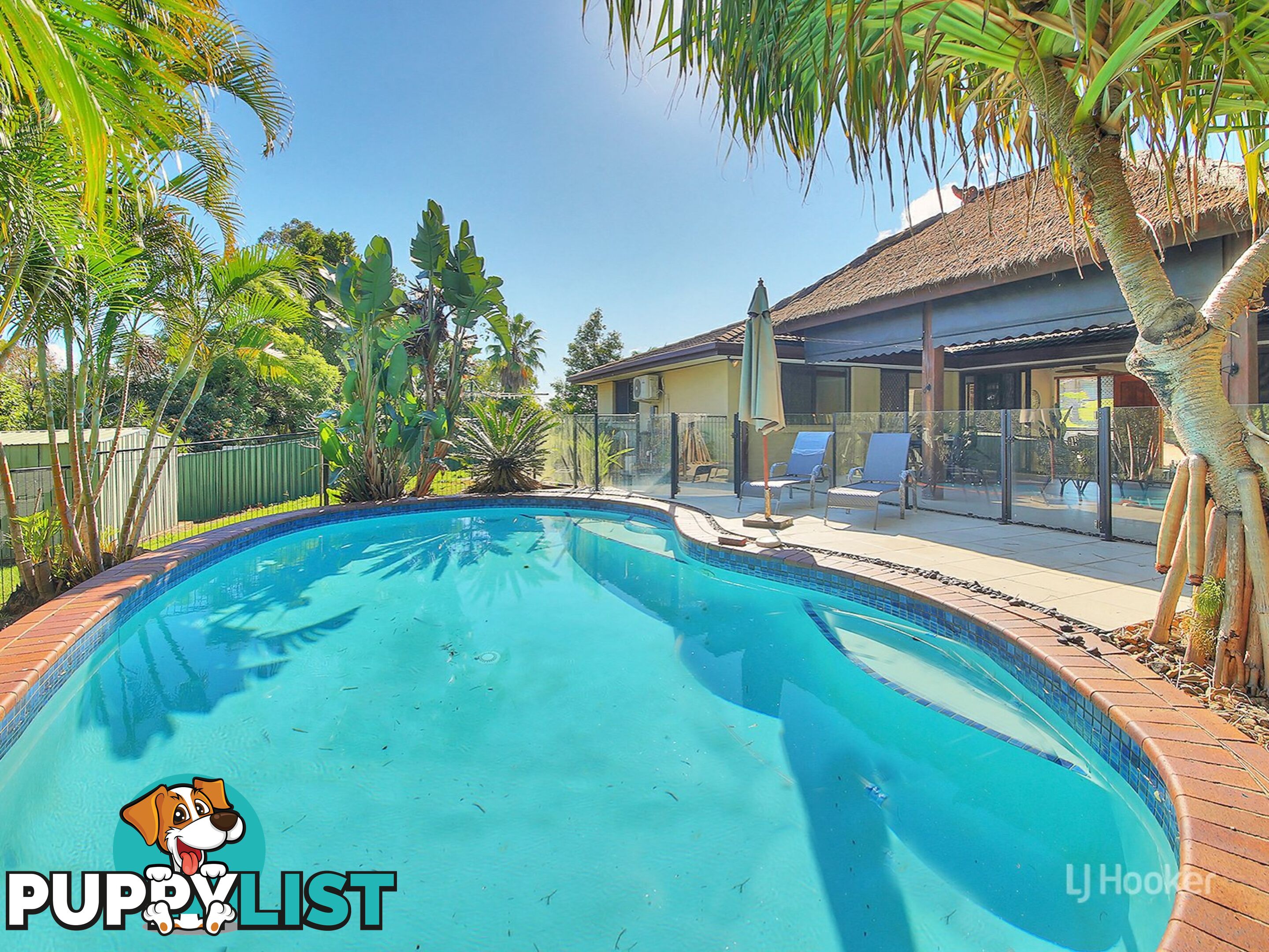 50 Owenia Street ALGESTER QLD 4115