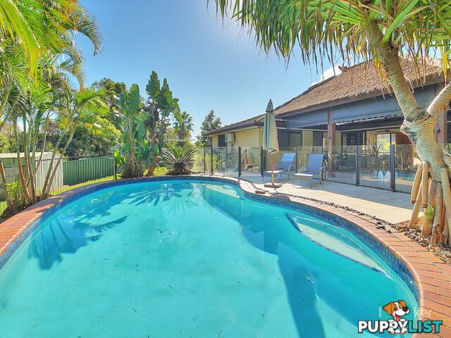 50 Owenia Street ALGESTER QLD 4115