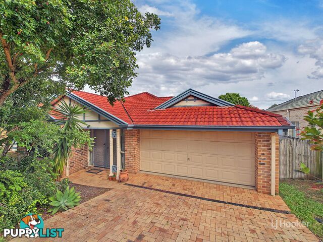 11 Pinedale Crescent PARKINSON QLD 4115