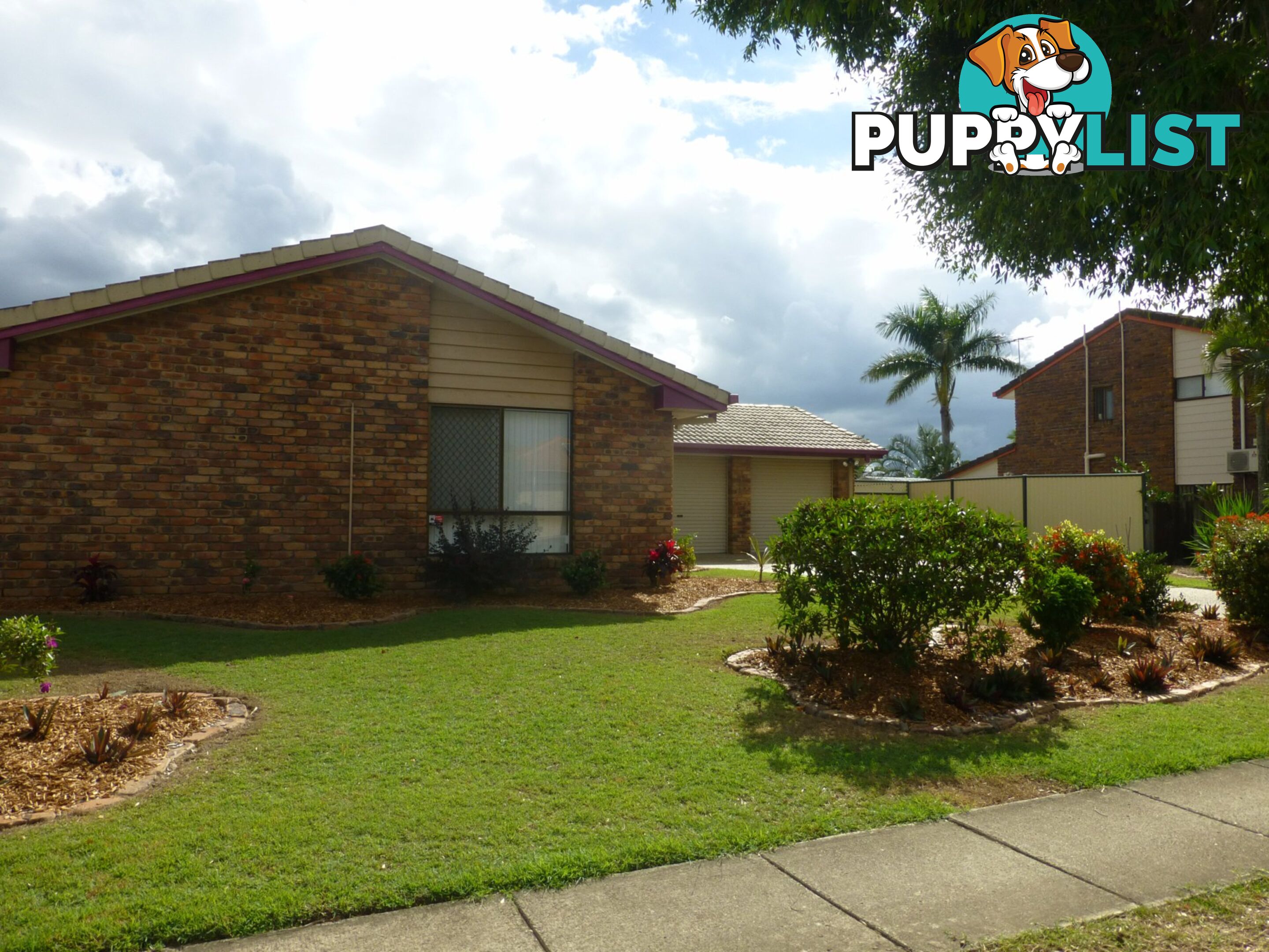 21 Kulcha Street ALGESTER QLD 4115