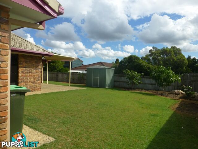 21 Kulcha Street ALGESTER QLD 4115