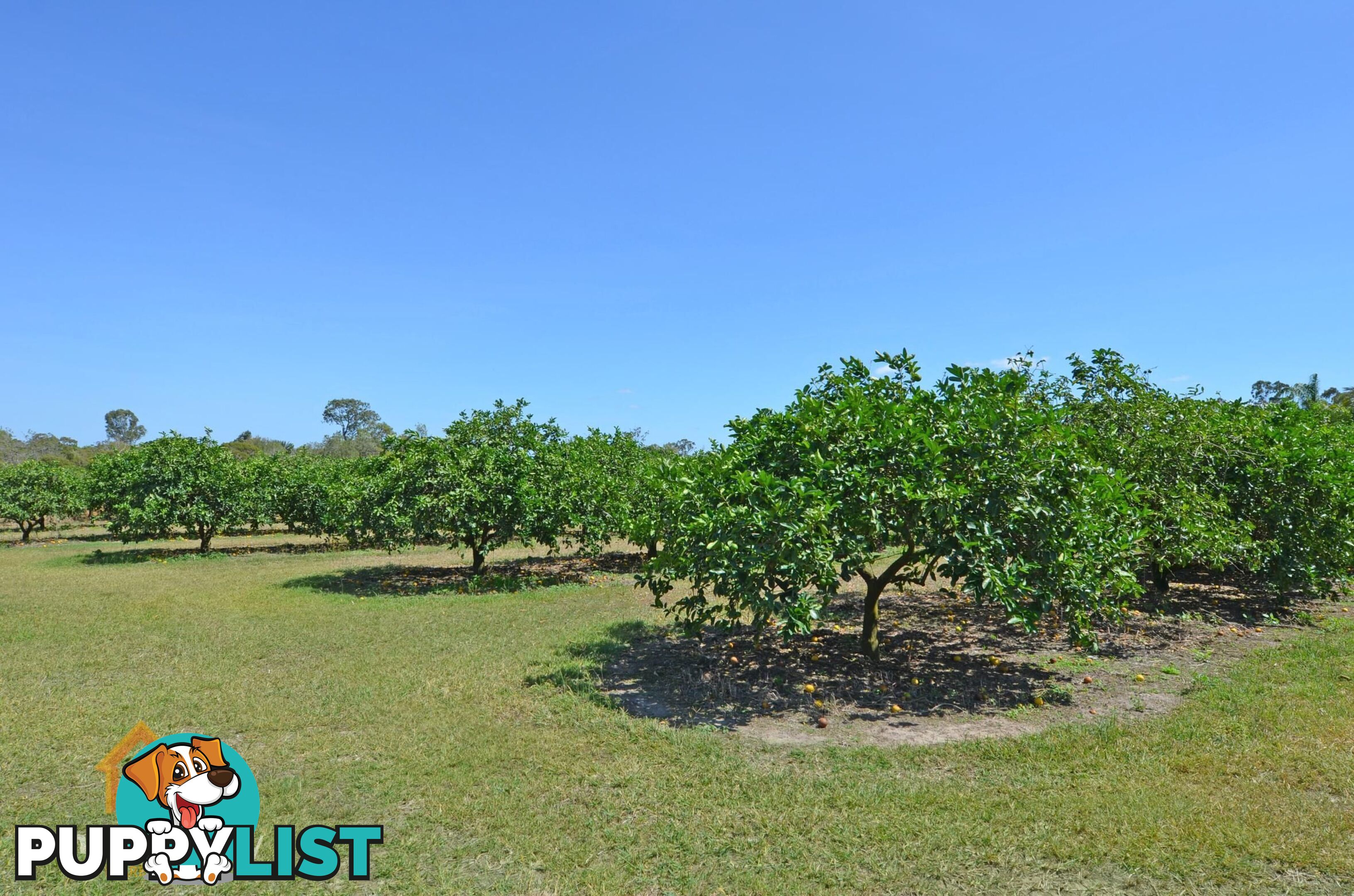 28 Facet Drive Mareeba QLD 4880