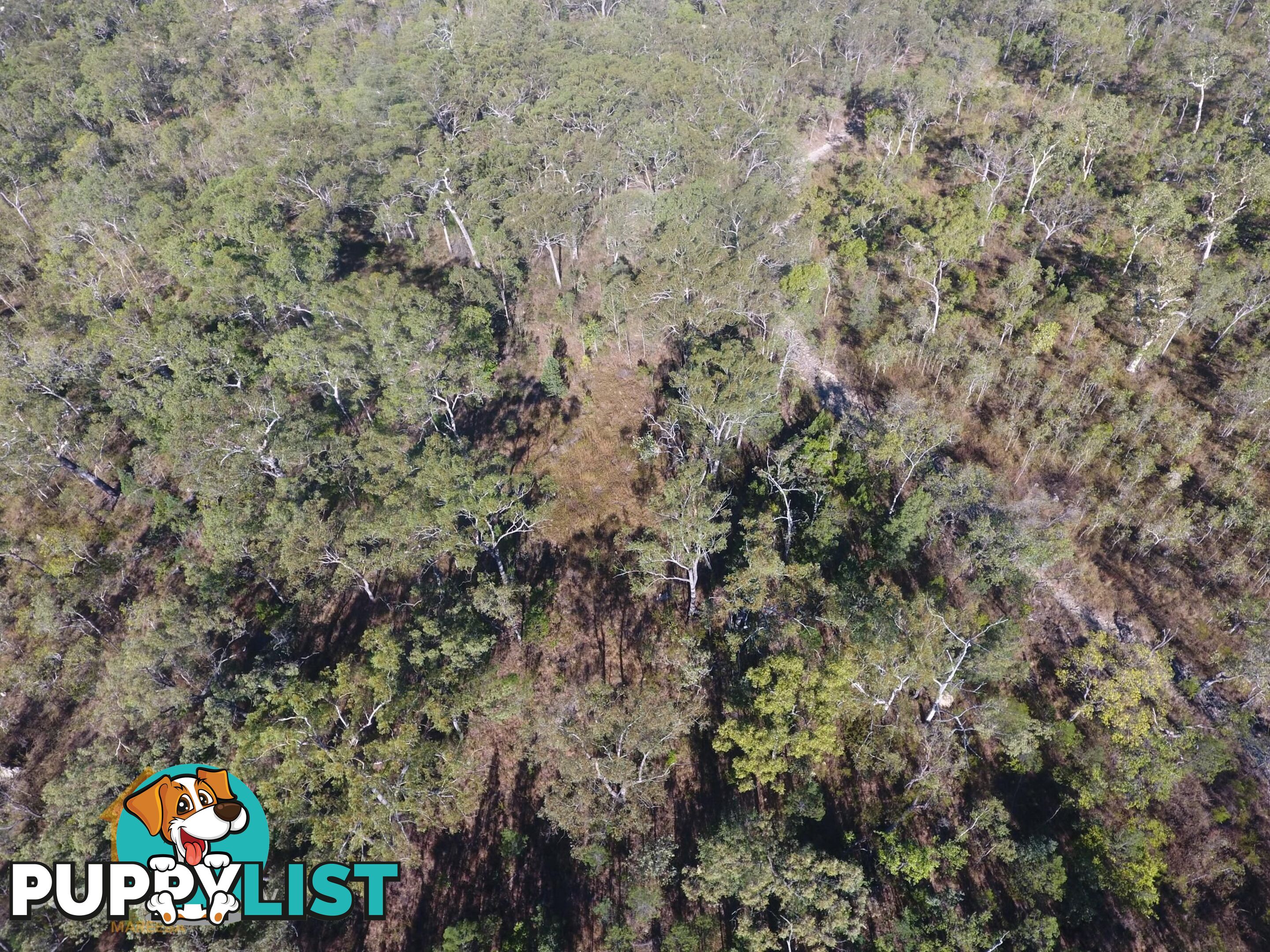24 Lemontree Drive Mutchilba QLD 4872
