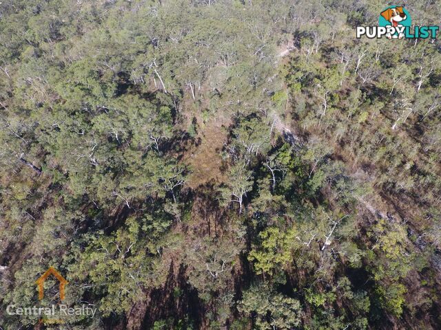 24 Lemontree Drive Mutchilba QLD 4872