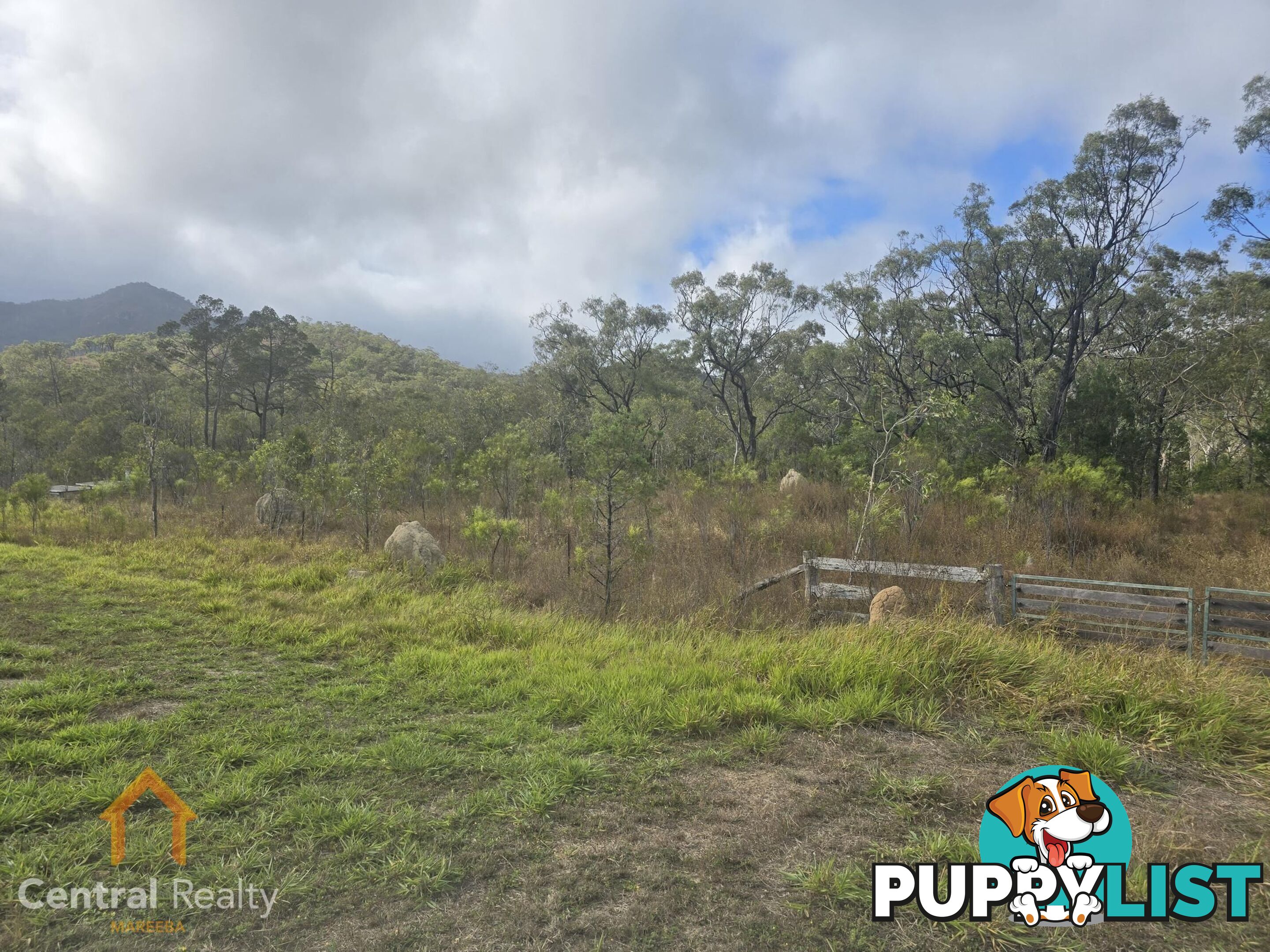 24 Lemontree Drive Mutchilba QLD 4872