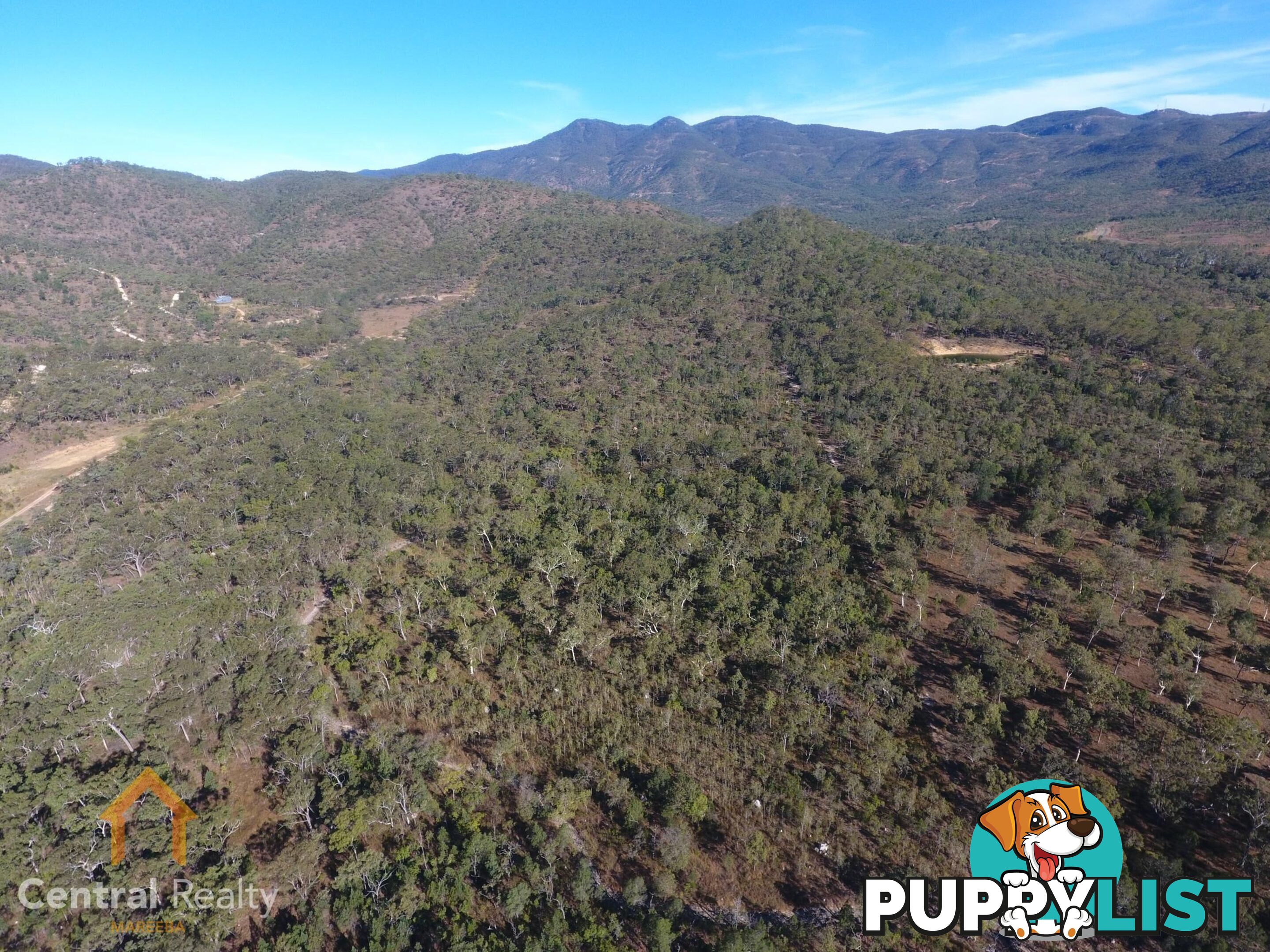 24 Lemontree Drive Mutchilba QLD 4872