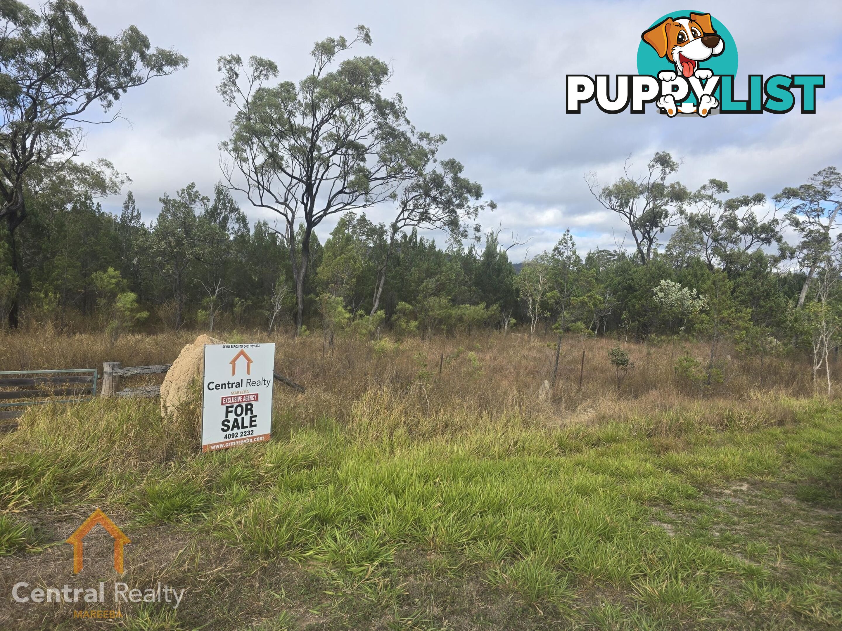 24 Lemontree Drive Mutchilba QLD 4872