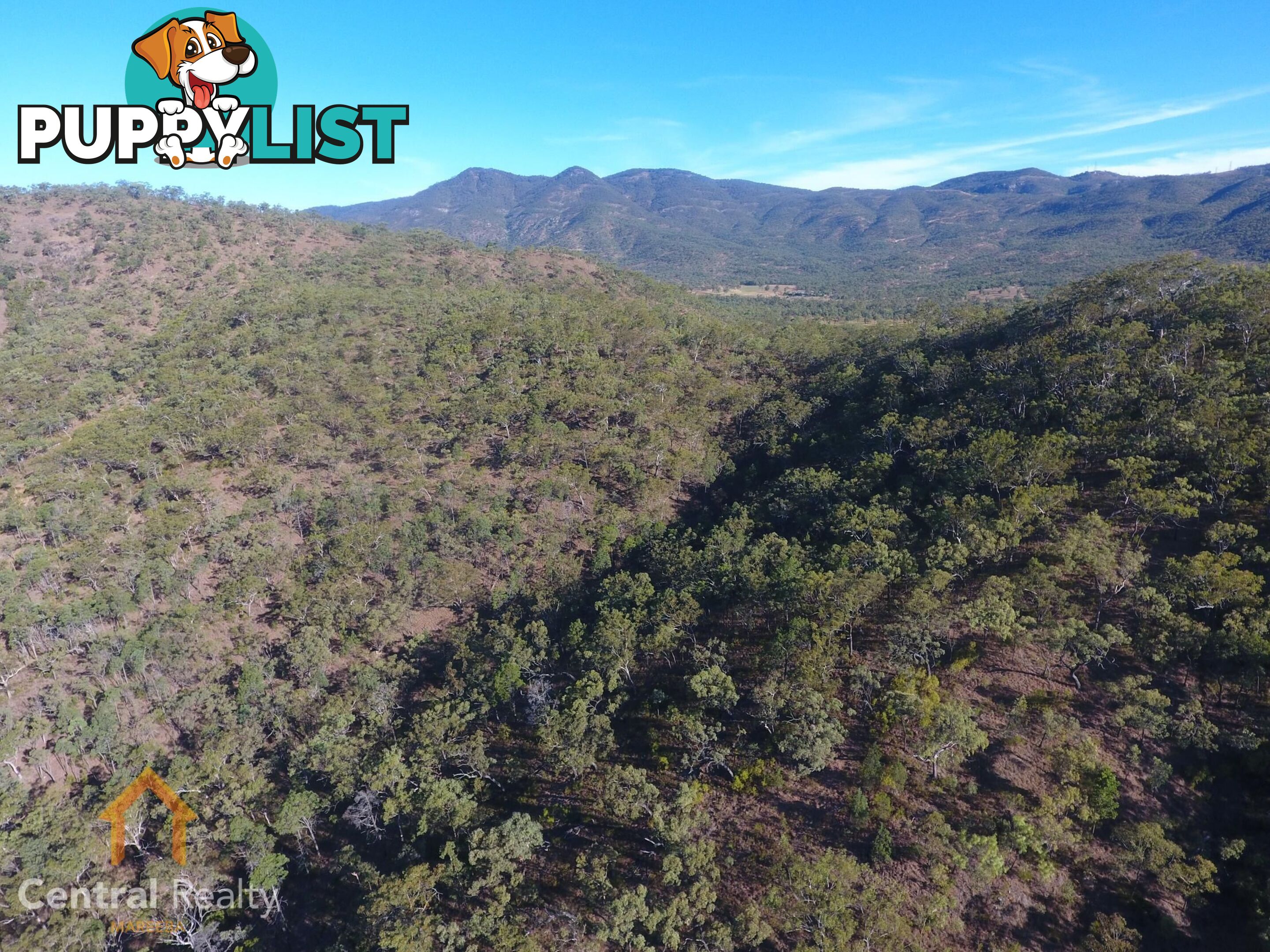 24 Lemontree Drive Mutchilba QLD 4872