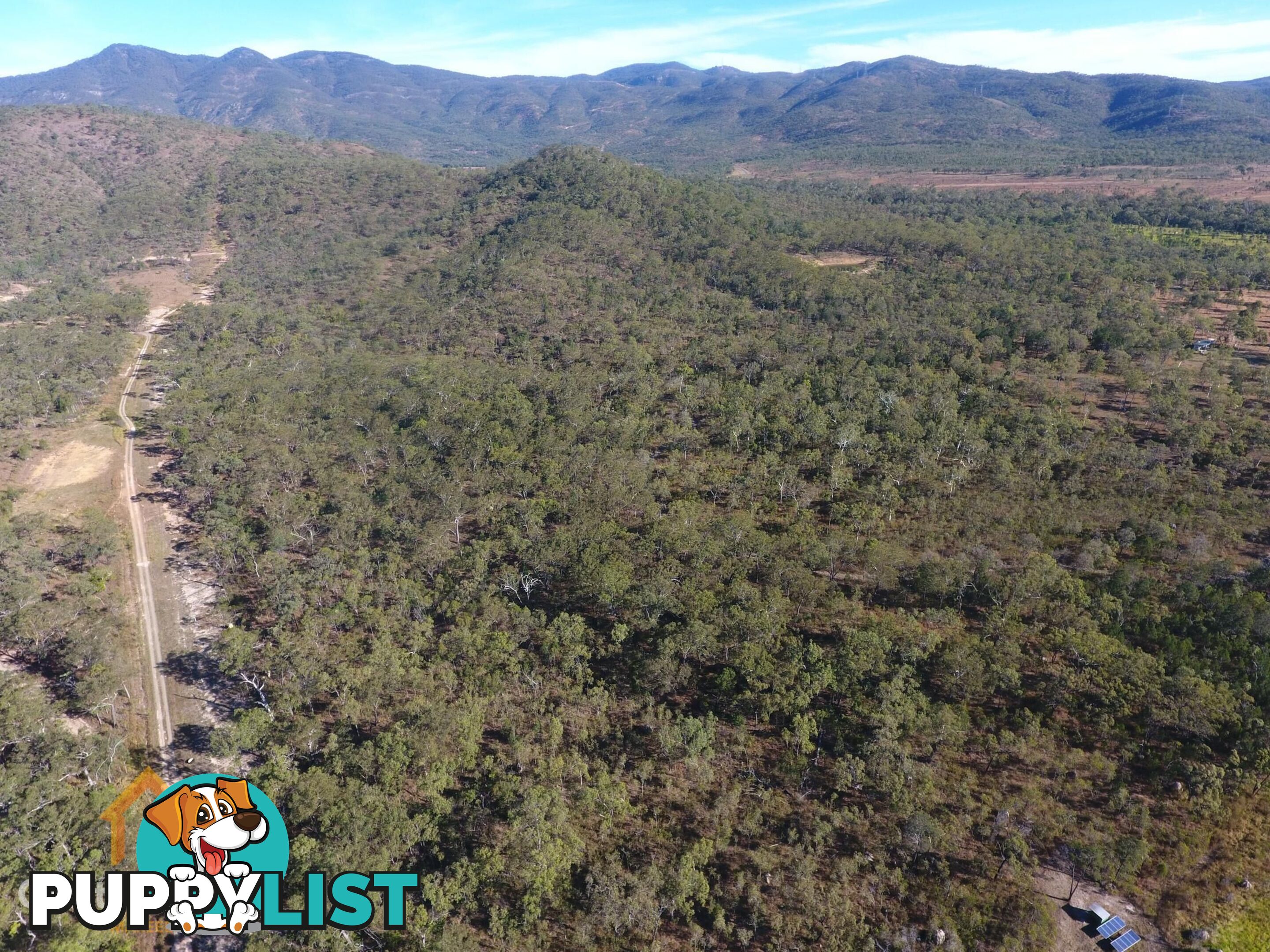 24 Lemontree Drive Mutchilba QLD 4872