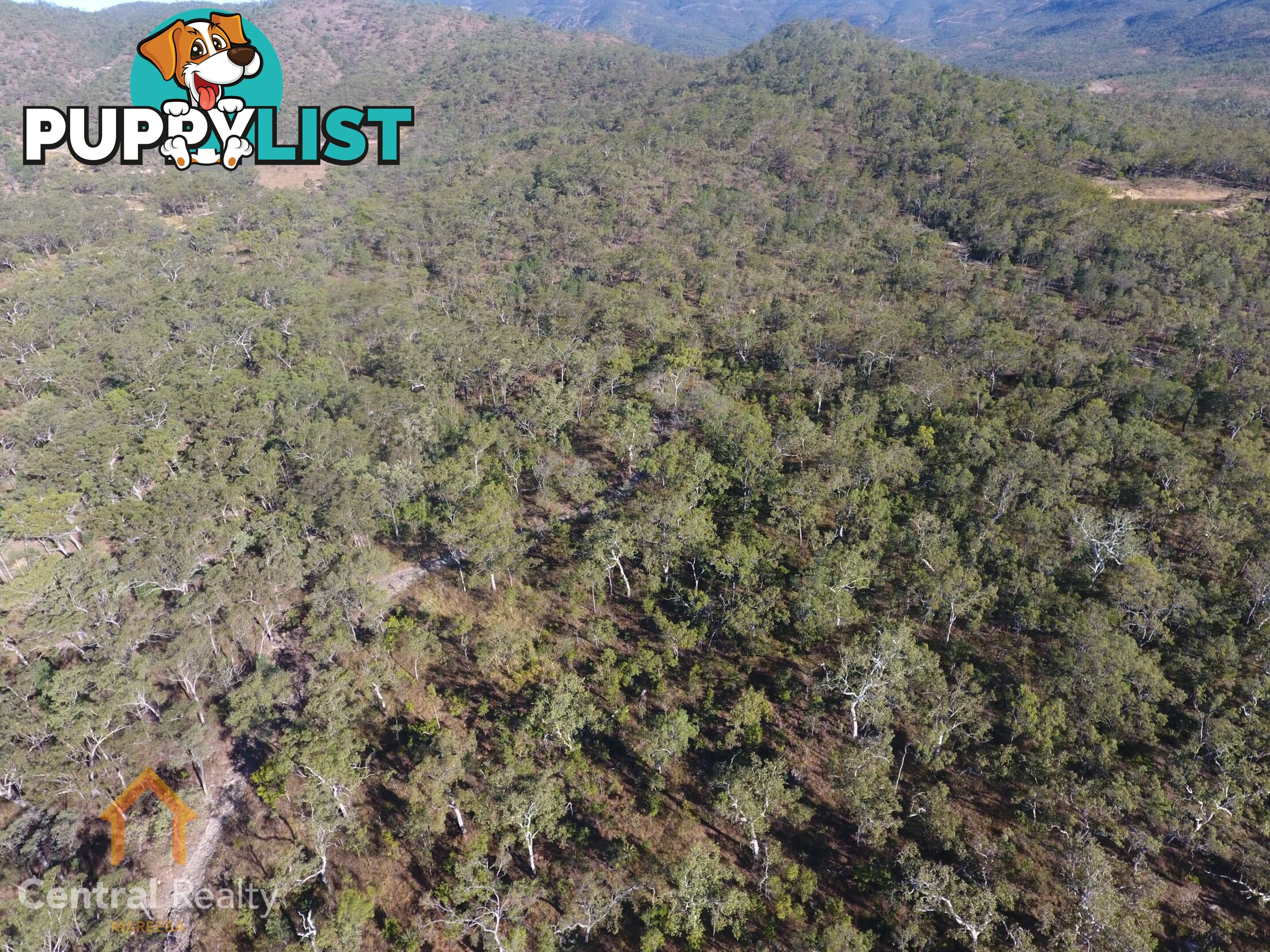 24 Lemontree Drive Mutchilba QLD 4872