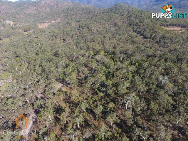 24 Lemontree Drive Mutchilba QLD 4872