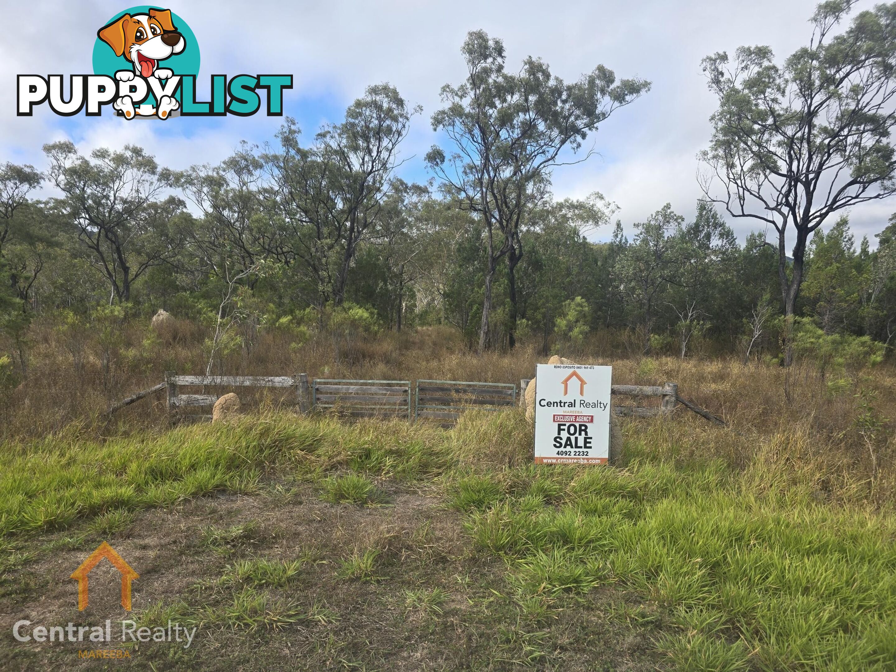 24 Lemontree Drive Mutchilba QLD 4872