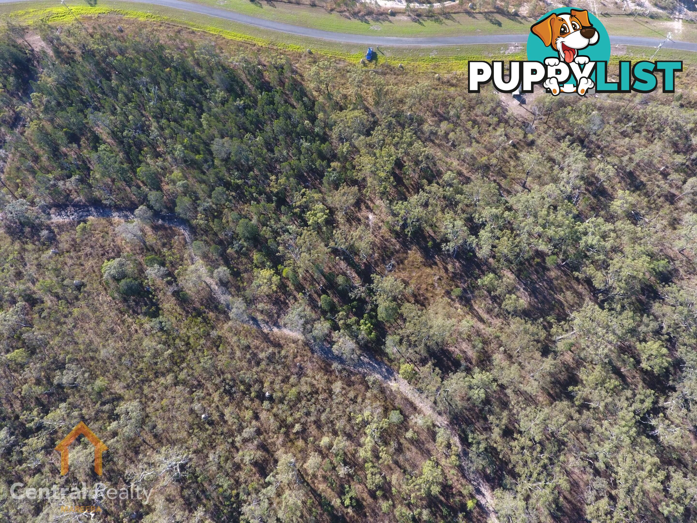 24 Lemontree Drive Mutchilba QLD 4872