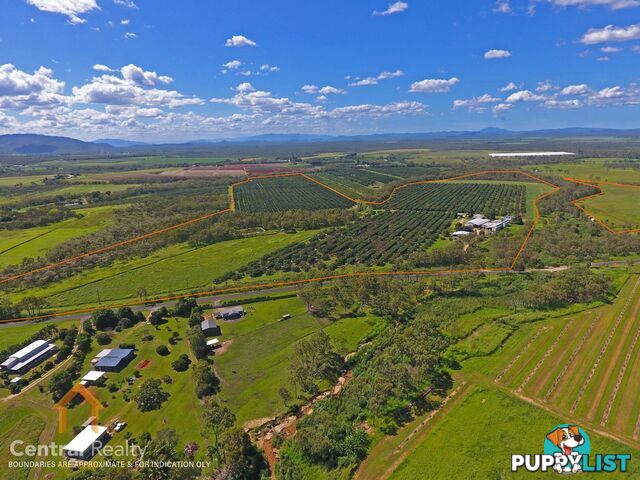 44 Carman Road Mareeba QLD 4880