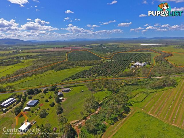 44 Carman Road Mareeba QLD 4880