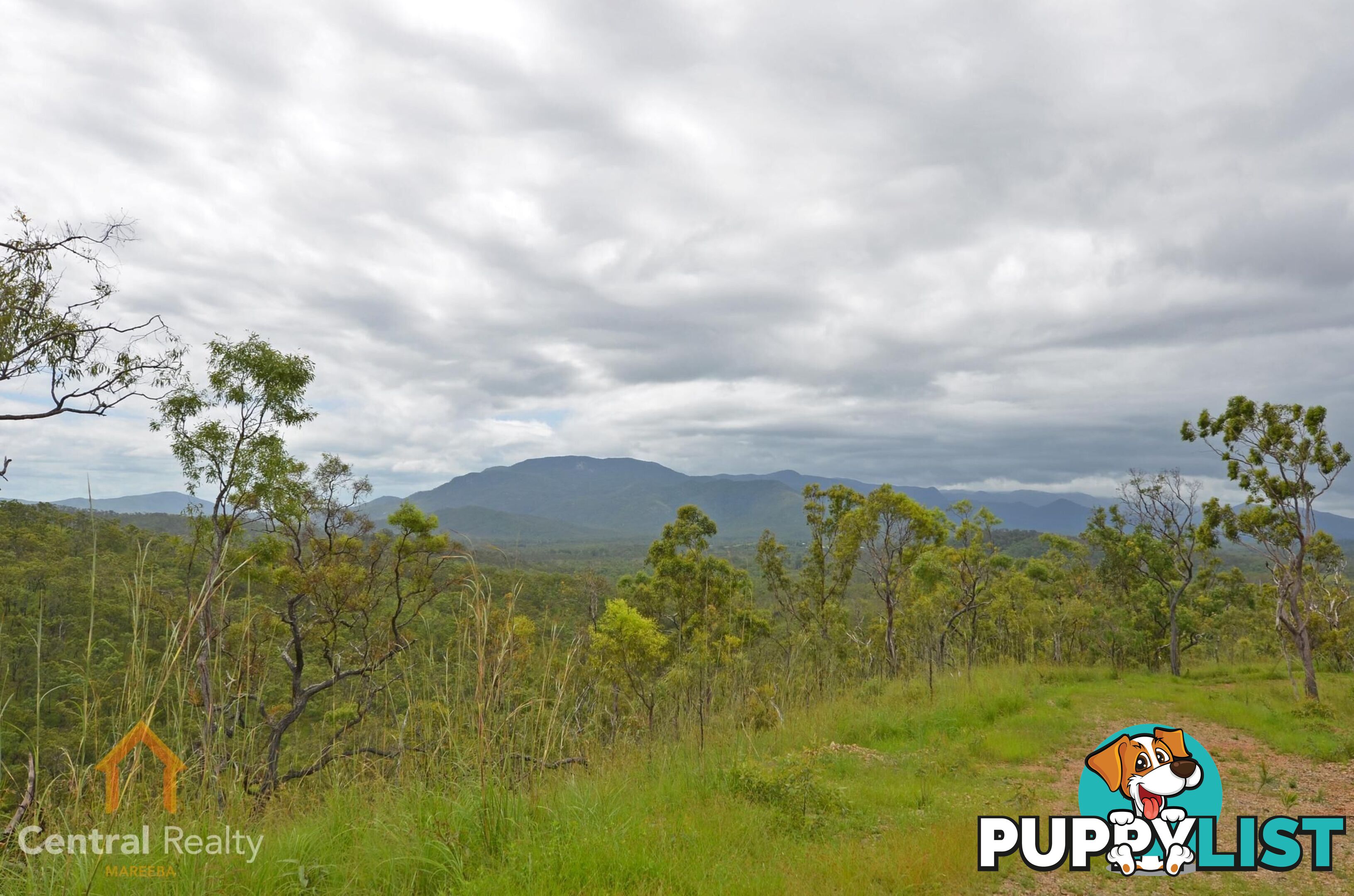 103 3609 Mulligan Highway Mount Molloy QLD 4871