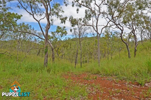 103 3609 Mulligan Highway Mount Molloy QLD 4871